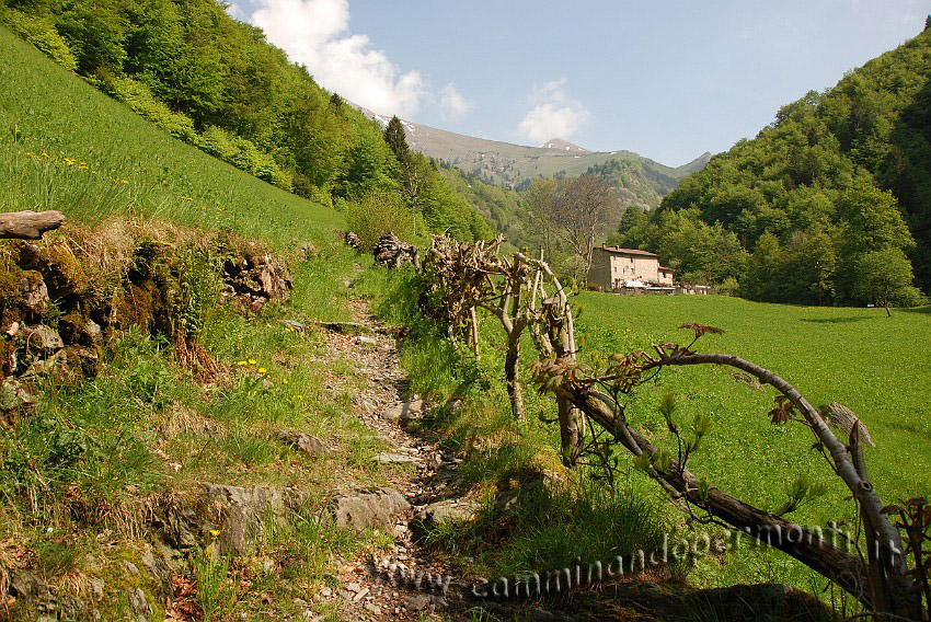 09 03616 Contrada Piazzola.JPG